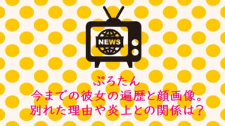 ぷろたん 今までの彼女の遍歴と顔画像。別れた理由や炎上との関係は?