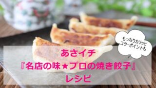 あさイチ『名店の味|プロ|焼き餃子』レシピ・焼き方 包みから ジューシー ポイントコツ詳細まとめ
