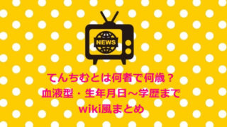 てんちむとは何者で何歳?血液型・生年月日~学歴までwiki風まとめ